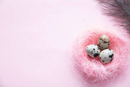 Easter card with eggs in nest over woodの写真素材