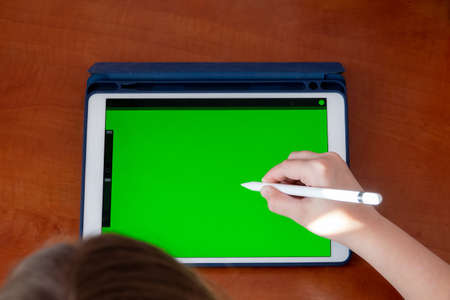 Girl digital artist draws with a stylus on a tablet or laptop. She is a student and is studying drawing.の写真素材