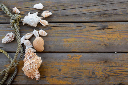 closeup of old wood planks texture background
