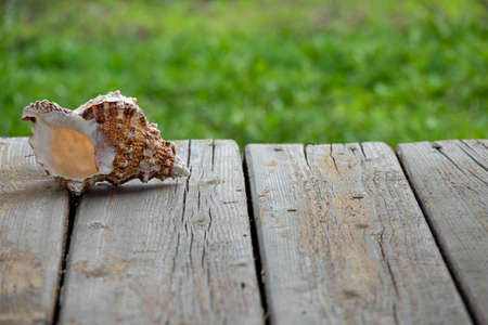 closeup of old wood planks texture backgroundの写真素材