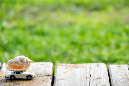 closeup of old wood planks texture background