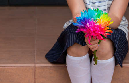 Colorful chrysanthemum flower macro shot. Chrysanthemum rainbow flower background.