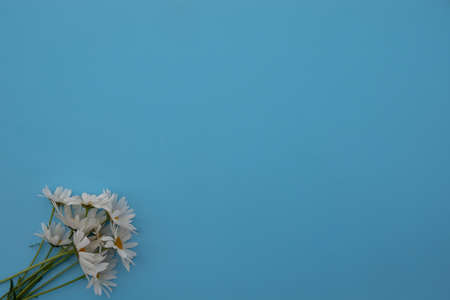 Bouquet of beautiful chamomile flowers on white background, top viewの写真素材