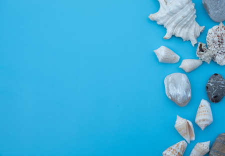 Wood Blocks on Light Blue Table with Sea Shells, Starfish, Beach Hat and Slippers for Summer Sale