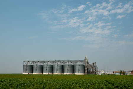 Silos in a barley field. Storage of agricultural production. In fieldの写真素材