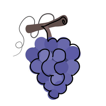 Single continuous line drawing healthy organic grapes for vineyard identity. Fresh tropical fruitage concept for fruit orchard garden icon. Modern one line draw design graphic vector illustrationのイラスト素材