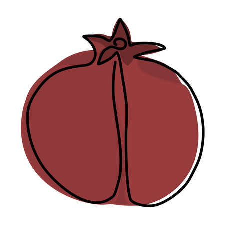 Pomegranate fruit in continuous drawing style. Abstract minimalistic style. Drawing the fruit with one line. Pomegranate contour with color. Drawing with a single line. Flat isolated illustration.のイラスト素材