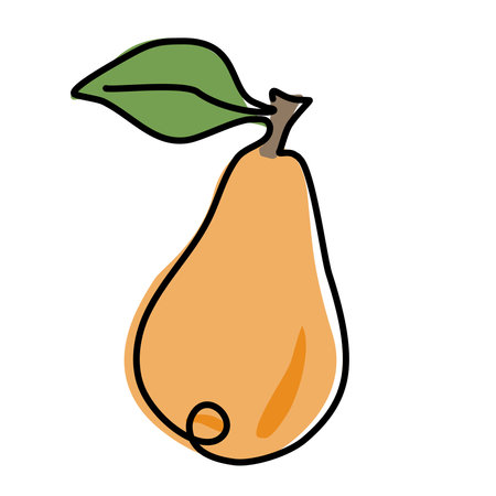 Pear and sliced piece pear drawn by one line. Food sketch. Continuous line drawing sweet fruit. For coloring book, learning card. Simple Vector illustration.のイラスト素材