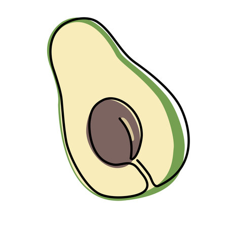 Continuous one line drawing avocado. Vector illustration. Black line art on white background with colorful spots.のイラスト素材