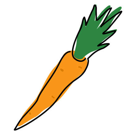 Carrot linear icon. Agriculture plant. Salad ingredient. Vegetable farm. Vegan food. Organic food. Greenery. Thin line illustration. Contour symbol. Vector isolated outline drawing. Editable strokeのイラスト素材