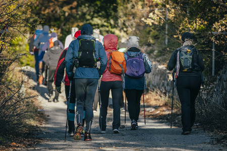 Yalta, Russia - October 31, 2015: group athlete with sticks to walk started during First Yalta mountain marathonのeditorial素材