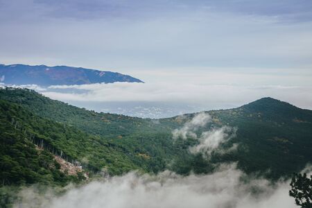 mountains covered with green forests above them cloudsの写真素材