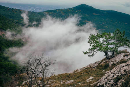 between mountains valley is covered with cloudの写真素材