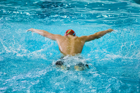 Chelyabinsk, Russia - October 21, 2015: male athlete swims butterfly during competition. view from back during Championship of Chelyabinsk swimmingのeditorial素材