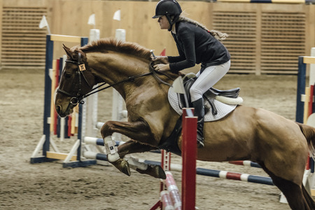 Chelyabinsk, Russia - November 22, 2015: young girl rider on a horse overcomes obstacles in sports complex during Competitions Horse Show jumpingのeditorial素材