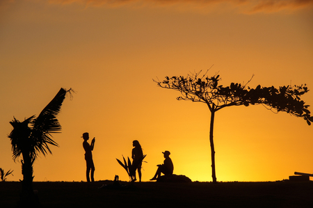 young people at sunset on summer beach with palm and treeの写真素材