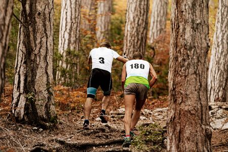 male athletes runners run uphill forest trail between large trunks of pine trees