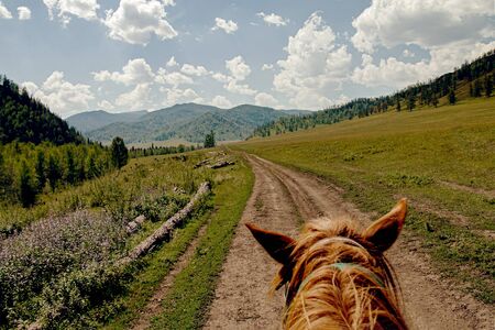 riding horse hiking summer mountain trailの写真素材