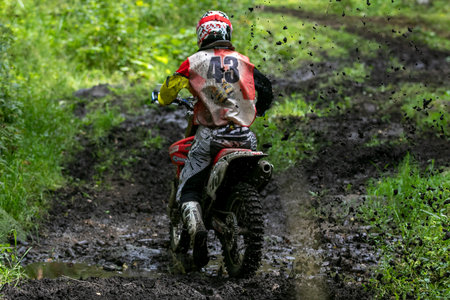 Rear view enduro rider on dirt bike speeding through wet muddy forest trail during an off-road raceの写真素材