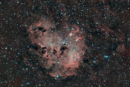 IC 410 - Tadpole nebula in a HRGB (Hydrogen and RGB) compositionの写真素材
