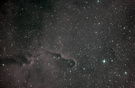 IC 1396 - Elephant Trunk in a HRGB (Hydrogen and RGB) compositionの写真素材
