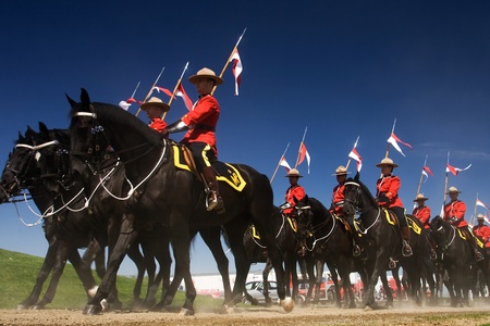 Ottawa Ontario Canada. May 2011. Each year before they start their tour, the RCMP musical ride performs an Inspectors Review, once approved they commence their summer tour.のeditorial素材