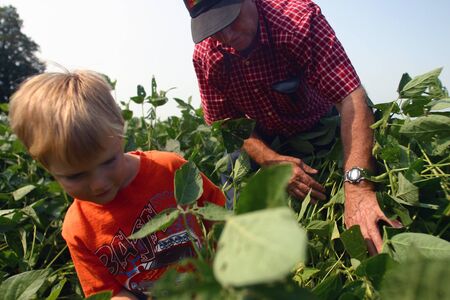 Parkhill Ontario, Canada - September 7, 2006. A young farm boy is shown how to evaluate a crop by his grandfather on a family farm in Southwestern Ontario. のeditorial素材