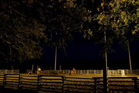 Lobo Ontario, Canada - October 2, 2010. A recreation team penning goes on late into the night. Team penning is a competition where teams of riders try to corral cows into a holding pen. Time is kept and the team with the lowest time over the course of theのeditorial素材