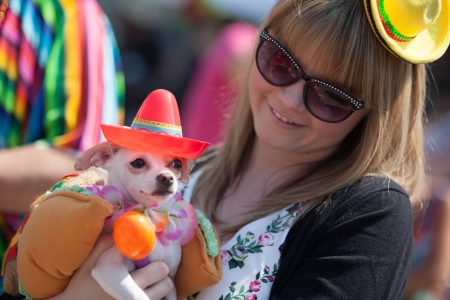 Fiesta London is an annual celebration of Latin, music, arts, craft and food. のeditorial素材