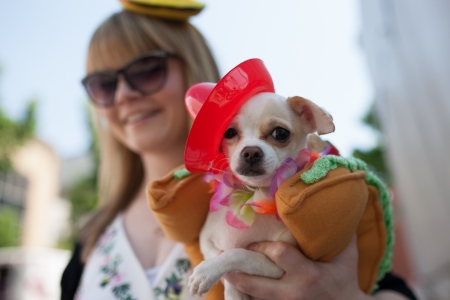 Fiesta London is an annual celebration of Latin, music, arts, craft and food. のeditorial素材