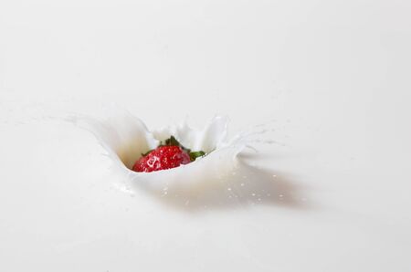 Red strawberry falling into white milk creating splashの写真素材