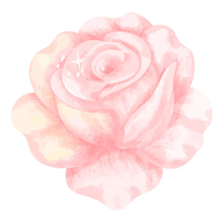 Watercolor pink rose. Vector illustration isolated on a white background.のイラスト素材