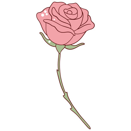 Pink rose on a white background. Vector illustration of a rose.のイラスト素材