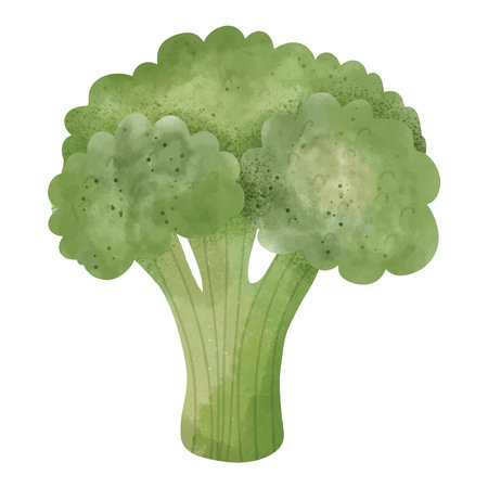 Cute Green Watercolor Broccoli Illustrationのイラスト素材