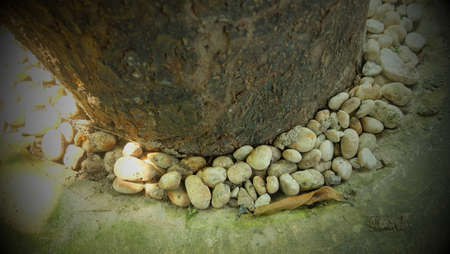 stone on groundの写真素材