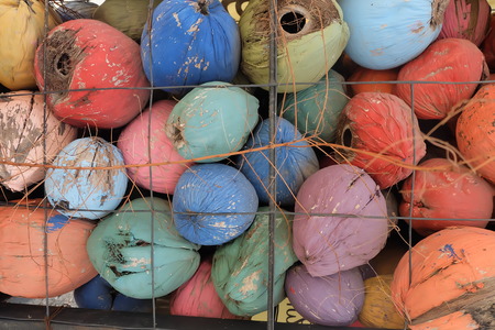 paint color on dry coconut