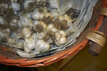 Garlic heads in a basketの写真素材
