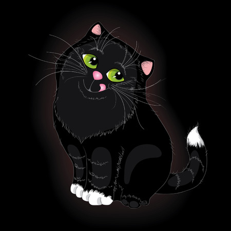 The black cat in a dark room looks the big sad eyes.のイラスト素材