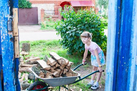 Little girl helps to carry the firewood in a wheelbarrow.の写真素材