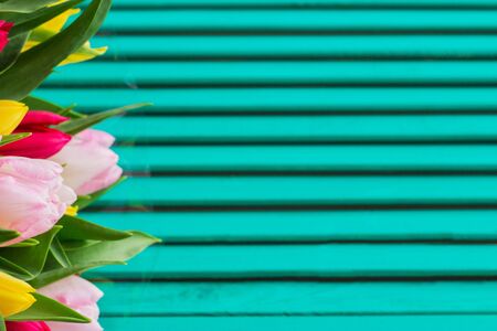 Blurred bouquet tulips jade shamrock wooden backgroundの写真素材