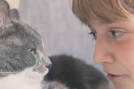 Blonde girl and domestic gray cat double portrait.の写真素材