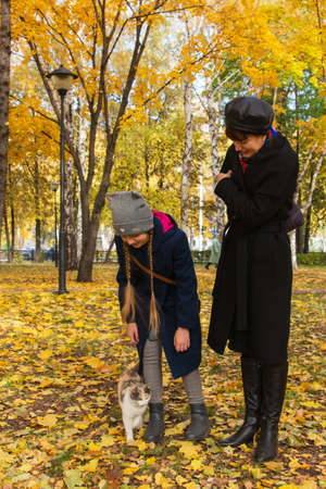 Mother with daughter and homeless cat in autumn parkの写真素材