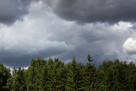Blurred Weather change clouds sky summer storm green forestの写真素材
