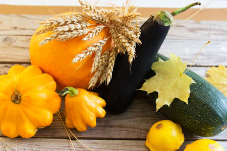 autumn harvest vegetables wooden backgroundの写真素材