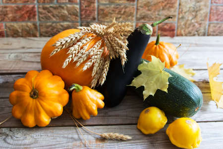 autumn harvest vegetables wooden backgroundの写真素材