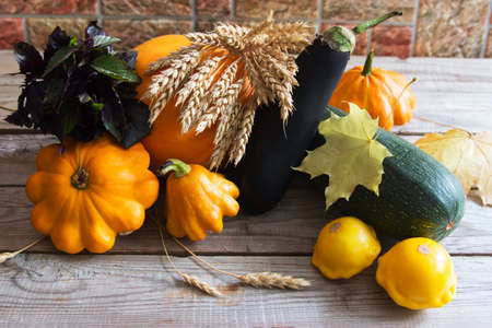 autumn harvest vegetables wooden backgroundの写真素材