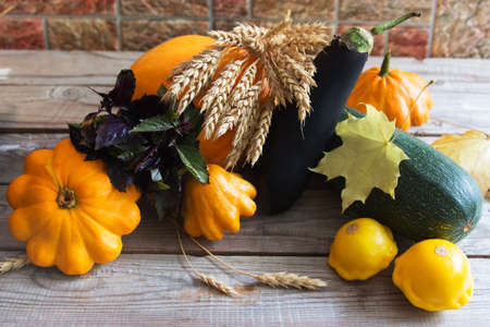 autumn harvest vegetables wooden backgroundの写真素材
