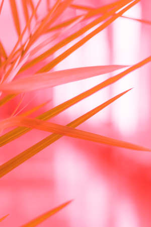 Potted plant exotic green leaves vertical background