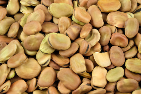 Dries broad beans, Can be used as a background.