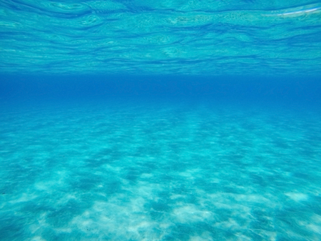 View of the clrystal blue ocean water, ocean floor with white sand and the surface of water. Can be used as background. Location Atlantic Ocean, Canary Island Fuerteventura, Spain.の写真素材